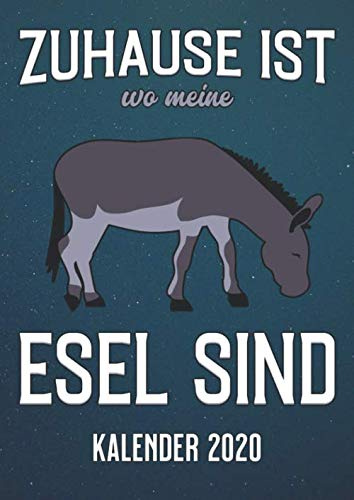 Esel: A4 Kalender 2020 für ein erfolgreiches Jahr -