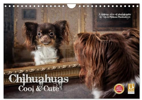 Chihuahuas - Cool and Cute (Wandkalender 2025 DIN A4 quer), CALVENDO Monatskalender