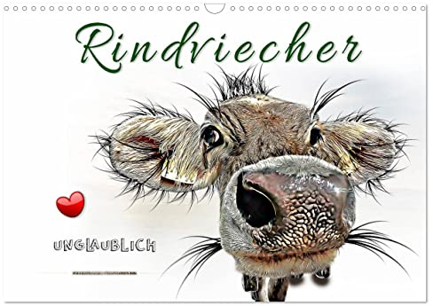 Rindviecher unglaublich (Wandkalender 2026 DIN A3 quer), CALVENDO Monatskalender: Lustige Tierbilder, die Freude machen. (CALVENDO Tiere)