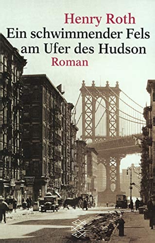 Ein schwimmender Fels am Ufer des Hudson: Roman: Roman. Aus d. Amerikan. v. Heide Sommer. (Fischer Taschenbücher)