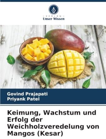 Keimung, Wachstum und Erfolg der Weichholzveredelung von Mangos (Kesar)