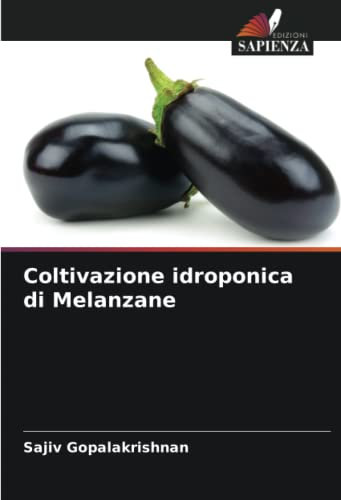 Coltivazione idroponica di Melanzane