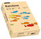 Papyrus 88042502 Drucker-/Kopierpapier farbig, Bastelpapier Rainbow: 120 g/m², A4, 250 Blatt Buntpapier, lachs