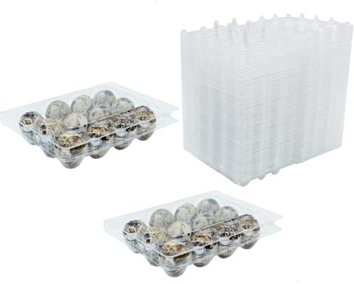 RECHCIGA 50 Stück Wachtelei Schachteln Wachteln Eierschachteln Kunststoff Eierschalen mit Deckel 12 Gitter Transparente Wachteleierschachteln PVC Eier Aufbewahrungsbox für Wachteleier