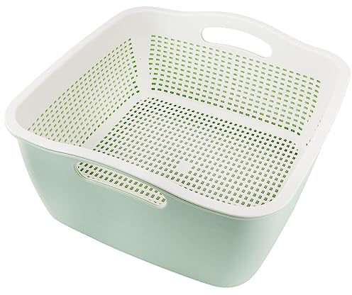 Double Layer Draining Basket,Plastic Fruit Vegetable Wash Rack Cyan