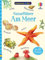 Usborne Minis Naturführer: Am Meer (Usborne-Minis-Reihe)