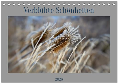 Verblühte Schönheiten (Tischkalender 2026 DIN A5 quer), CALVENDO Monatskalender: Die Ästhetik verblühter Pflanzen (CALVENDO Natur)