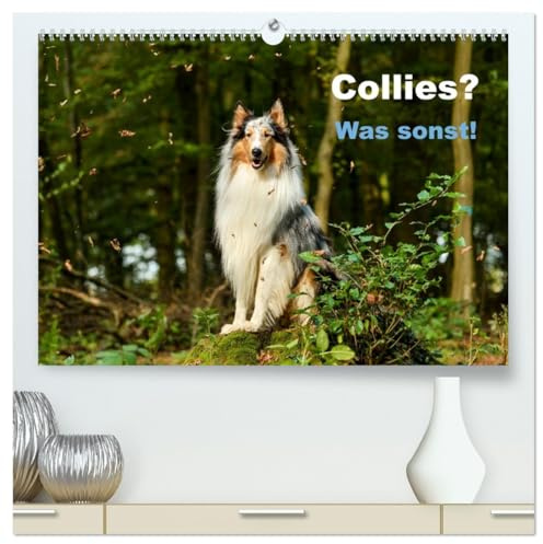 Collies? Was sonst! (hochwertiger Premium Wandkalender 2026 DIN A2 quer), Kunstdruck in Hochglanz: Wundervolle Fotografien einer tollen Hunderasse: Der Collie. (CALVENDO Tiere)