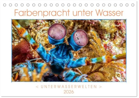 Farbenpracht unter Wasser (Tischkalender 2026 DIN A5 quer), CALVENDO Monatskalender: Ein Kalender mir farbstarken und ausdrucksvollen Aufnahmen aus der tropischen Unterwasserwelt. (CALVENDO Tiere)
