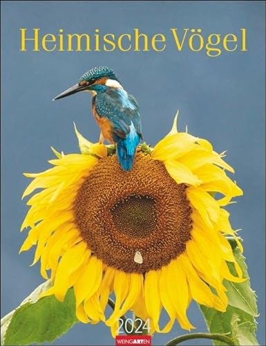 Heimische Vögel Kalender 2024. Wandkalender mit 12 Fotografien heimischer Vogelarten. Tier-Kalender 2024 zum Aufhängen. Foto-Kalender mit Monatsübersicht. 30x39 cm