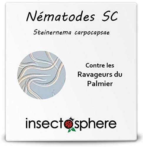 Nématodes Sc contre le papillon palmivore ou charançon rouge du palmier. 25 Millions pour 1 à 3 palmiers. Traitement naturel et bio.