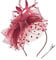 DRESHOW Fascinators Sombrero Tocados De Pinza para El Pelo Cabeza De Mujer Novia para Fiesta Boda Moderno con Pluma Royal Ascot para Niñas y Mujeres