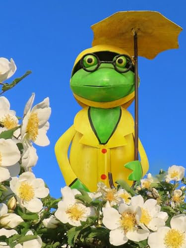 Pommerntraum ® | Sgabello per recinzione, statuetta decorativa da giardino, rana, rospi (rana con ombrello)