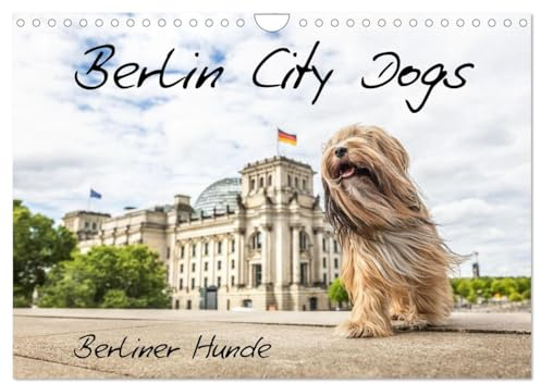 Berlin City Dogs - Berliner Hunde (Wandkalender 2026 DIN A4 quer), CALVENDO Monatskalender: Berliner Hunde in urbaner Umgebung. (CALVENDO Tiere)