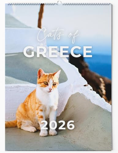 Katzenkalender 2026 'Cats of Greece' - Großer Wandkalender A3 mit 13 süßen Katzenfotos - Fotokalender für Katzenliebhaber und Griechenland-Fans - Monatskalender 2026 zum Aufhängen