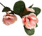 Xmiral Künstliche Kunstblumen Blatt Magnolie Blumenhochzeitsstrauß Party Home Decor Kunst Kakteen Klein