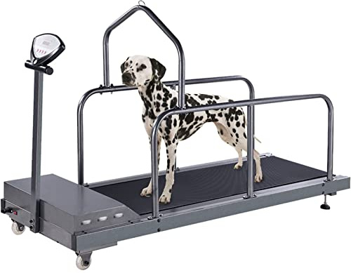 Hundelaufband für große Hunde, Hundelaufband, Hundelaufband für mittelgroße Hunde, Haustierlaufband für kleine und mittelgroße Hunde, Indoor-Laufband
