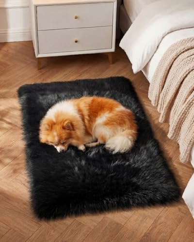 Gofodsil Teppich aus Kunstfell,Schwarz–Weicher, Flauschiger Teppich,maschinenwaschbarer Plüschteppich für Schlafzimmer,Wohnzimmer-Weicher Bettvorleger & Wohnaccessoire，Schwarz 50x80 cm