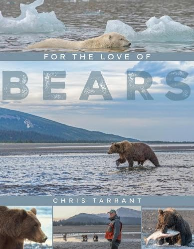 For The Love Of Bears