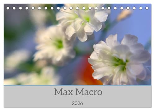 Max Macro (Tischkalender 2026 DIN A5 quer), CALVENDO Monatskalender: Macro Aufnahmen (CALVENDO Natur)