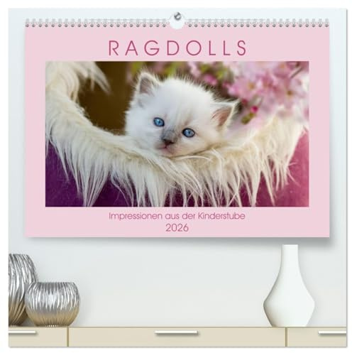 RAGDOLLS Impressionen aus der Kinderstube (hochwertiger Premium Wandkalender 2026 DIN A2 quer), Kunstdruck in Hochglanz: Auf 13 farbigen und ... verschiedener Farbschläge. (CALVENDO Tiere)