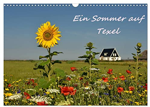 Ein Sommer auf Texel (Wandkalender 2026 DIN A3 quer), CALVENDO Monatskalender: Ein fotografischer Sommerspaziergang auf Texel (CALVENDO Orte)