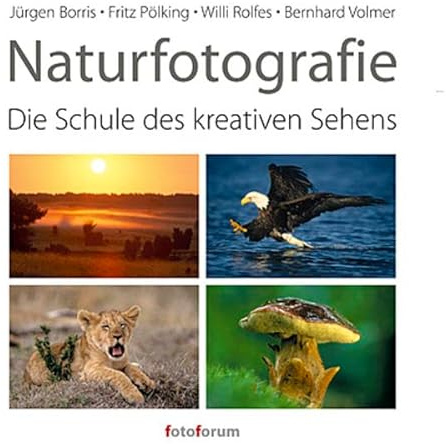 Naturfotografie: Die Schule des kreativen Sehens