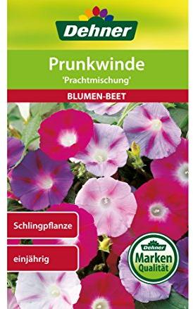 Dehner Blumen-Saatgut, Prunkwinde, Prachtmischung, 5er pack (5 x 2.5 g)