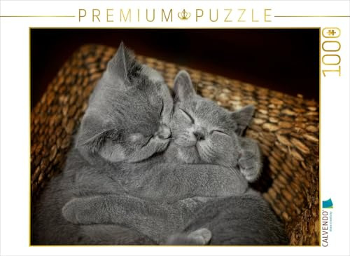 CALVENDO Puzzle EIN Motiv aus dem Kalender Bärige Schmusetiger - Britisch Kurzhaar/CH-Version | 1000 Teile Lege-Größe 64 x 48 cm Foto-Puzzle für glückliche Stunden