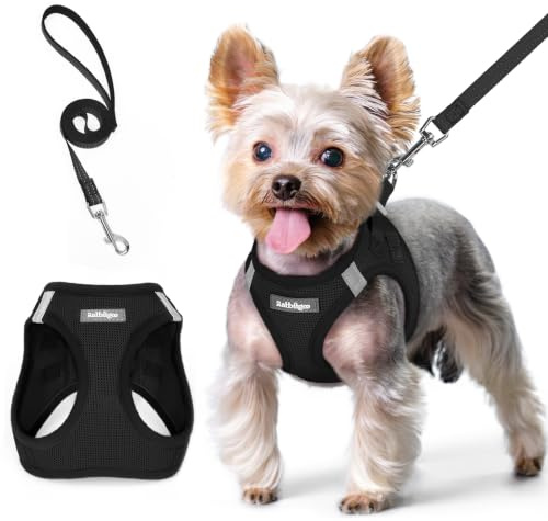 rabbitgoo Hundegeschirr Kleine Hunde mit Leine Step-in, Schwarz, XS | Einfach anzulegen, Atmungsaktiv, Weiches Mesh & Reflektierend, Sicherheitsverschluss mit 1,5m Leine für Kleine Hunde