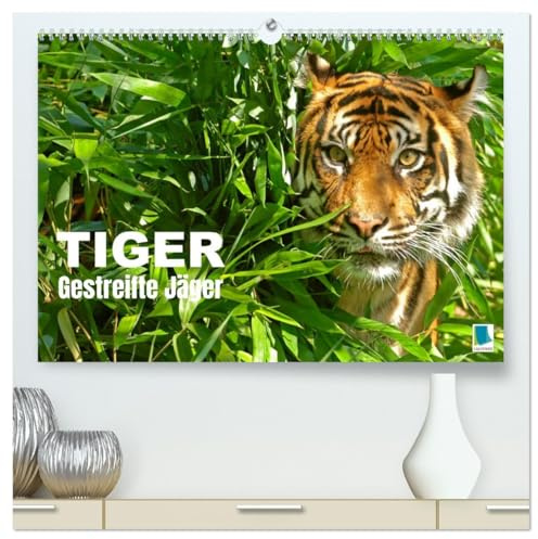 Tiger: Gestreifte Jäger (hochwertiger Premium Wandkalender 2026 DIN A2 quer), Kunstdruck in Hochglanz: Tiger: die größte Katzenart der Erde lebt in Asien (CALVENDO Tiere)