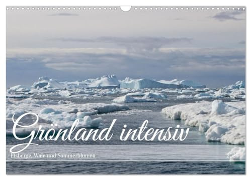 Grönland intensiv (Wandkalender 2026 DIN A3 quer), CALVENDO Monatskalender: Sommer im eisigen Naturparadies (CALVENDO Natur)
