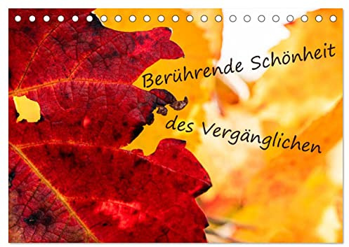 Berührende Schönheit des Vergänglichen (Tischkalender 2026 DIN A5 quer), CALVENDO Monatskalender: Der Herbst zeigt die Vergänglichkeit der Natur. (CALVENDO Natur)