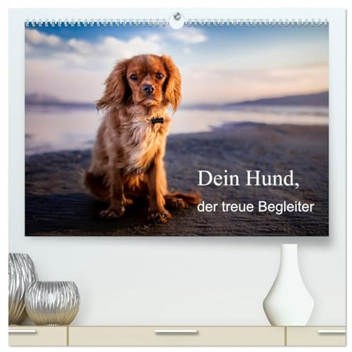 Dein Hund der treue Begleiter (hochwertiger Premium Wandkalender 2026 DIN A2 quer), Kunstdruck in Hochglanz: Dieser Kalender zeigt den treuen Freund der Menschen! (CALVENDO Tiere)