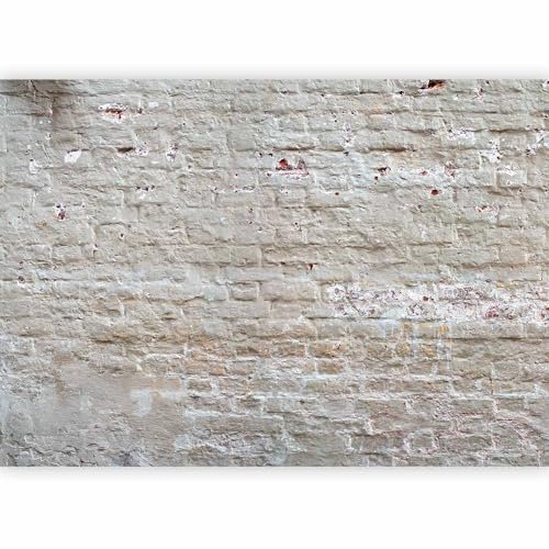 murando Fotomurales 200x140 cm Papel pintado tejido no tejido Decoración de Pared decorativos Murales moderna Diseno Fotográfico Ladrillo f-A-0507-a-b