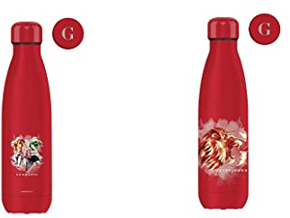 Botella casa Gryffindor 500ML