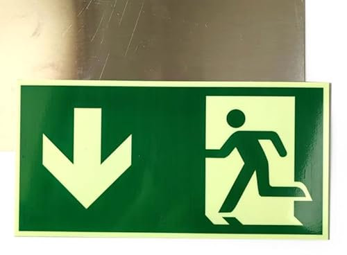 5 Stück Schild Notausgang, Notausgangsschild Nachleuchtend 30 x 15 cm, Fluchtwegschilder Pfeil Unten, Sicherheitsschilder, Notausgang Schilder für Infoschild, Rettungsweg, Fluchtweg, Schild Notausgang