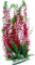 Plastic Aquarium Plant with Base 12 Inch (32cm-35cm) Tall, Red Burgundy with Green Leafy Cabomba, Artificial Fish Tank Seaweed | Decoration, Plastic Aquascaping Decor