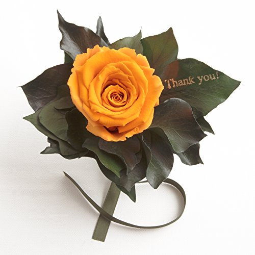 Ewige Rose Rosenstrauß konserviert mit Goldschrift Thank you und Rosenduft 3 Jahre haltbar ROSEMARIE SCHULZ® (Gelb)