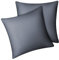 Fittia 2er-Set Lyocell Bambus Kissenbezug Bambusfaser Kopfkissenbezug Kissenhülle Seidig weichkühlend atmungsaktiv mit verdecktem Reißverschluss, Grau, 40x40cm