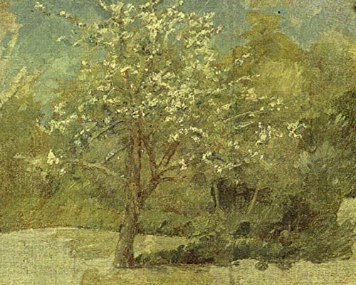 ZIMARO Leinwanddruck Und Poster Wandkunst Bild Reproduktion Apfelbaum von Johan Krouthén für Wohnkultur 60x90cm