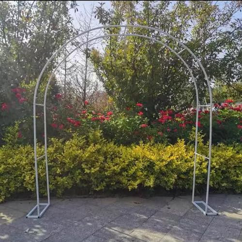 YQMHEZ Arche de Jardin for Vignes Florales, Arche de Mariage, for Diverses Plantes Grimpantes, décoration de la Maison, Fond de Support de Roses sur Pied for la décoration, Auto-Assemblage (Color : W