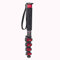 Avella C325 58 Pollice In Fibra di Carbonio Fotocamera Monopiede Professionale Telescopica Monopiede Compatibilità DSLR Telecamere Videocamere