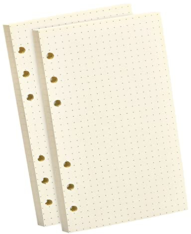 2 Packungen A5 Nachfüllpapier 160 Blätter A5 Nachfüllbare Refill Paper für 6 Ring Binder A5 Papier Gepunktet 6 Löcher Nachfülleinlagen Notizpapier für A5 Binder Notizbuch, Tagbuch, Malerei (Gepunktet)