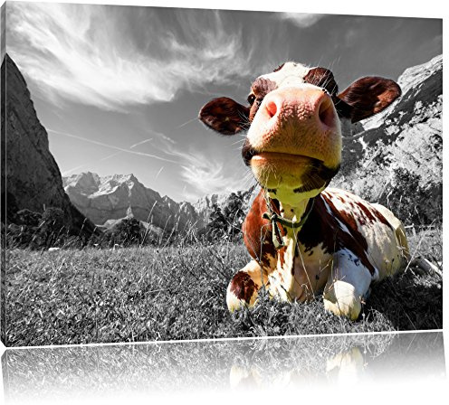 Pixxprint Kuh im Karwendelgebirge, Größe: 60x40cm, Leinwandbild, fertig gespannt, Wandbild, Dekoration, Kunstdruck, kein Poster
