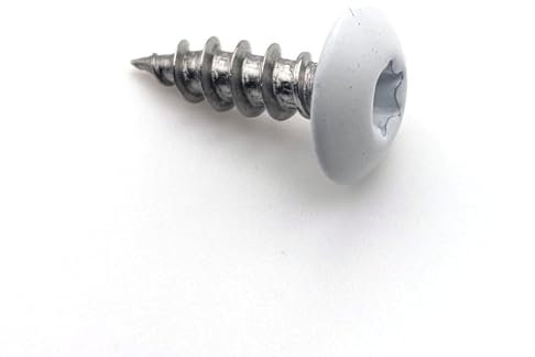 Vis pour penture 6x20 mm RAL 9003 blanc signalisation Inox A2 par 25