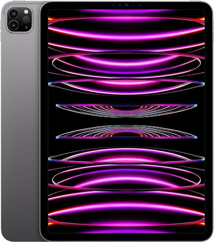 Apple iPad Pro 2022 4th Gen 11 WiFi 1TB Space Gray (Generalüberholt)