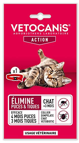 VETOCANIS COLLIER DIMPYLATE VETOBIOTIC| 4 Mois et Anti-Tiques 3 Mois Chat>3 Mois|Élimine les Puces Traitement à Usage Vétérinaire pour Chat|Couleur Rouge