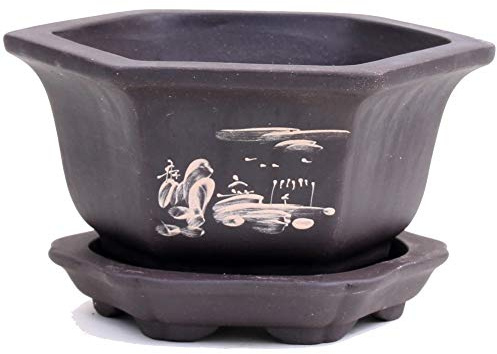 Bonsai - Kaskadenschale 16 Ø x 8,5 cm, mit Motiven 50060