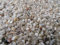 Kultpfötchen 5kg Aquarium Kies Körnung 2-3mm Aquarienkies hell wählbar auch als 1kg - 10kg - 25kg - 30 kg